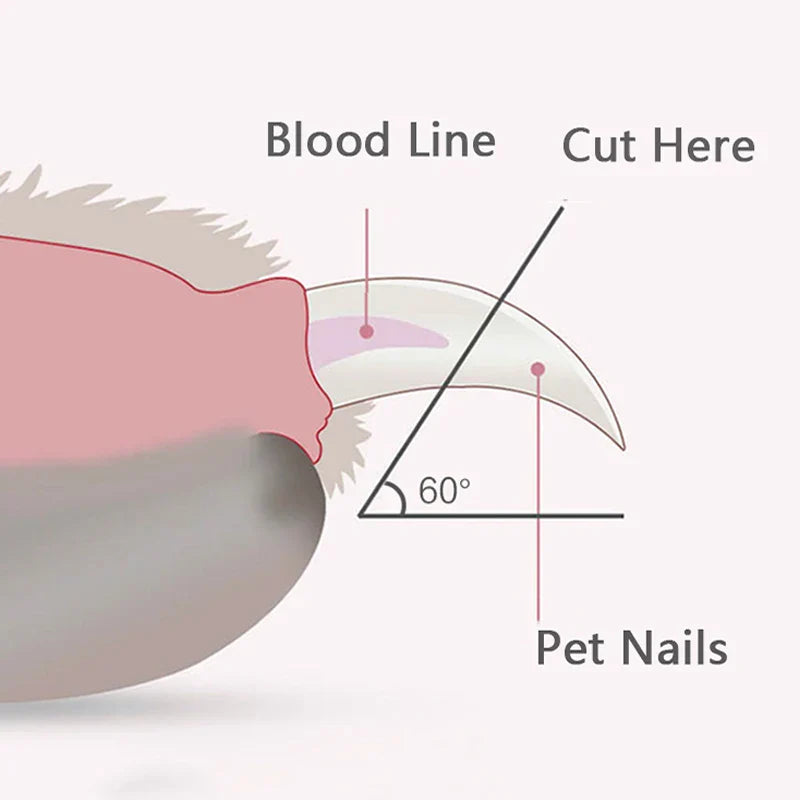 LED Pet Nail Clippers for Safe Precise Trimming with Bright Light