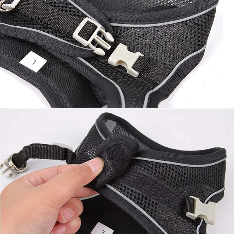Adjustable Dog Harness & Leash Set - My Store