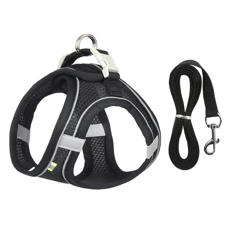 Adjustable Dog Harness & Leash Set - My Store