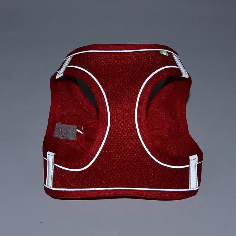 Adjustable Dog Harness & Leash Set - My Store
