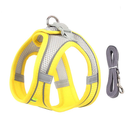 Adjustable Dog Harness & Leash Set