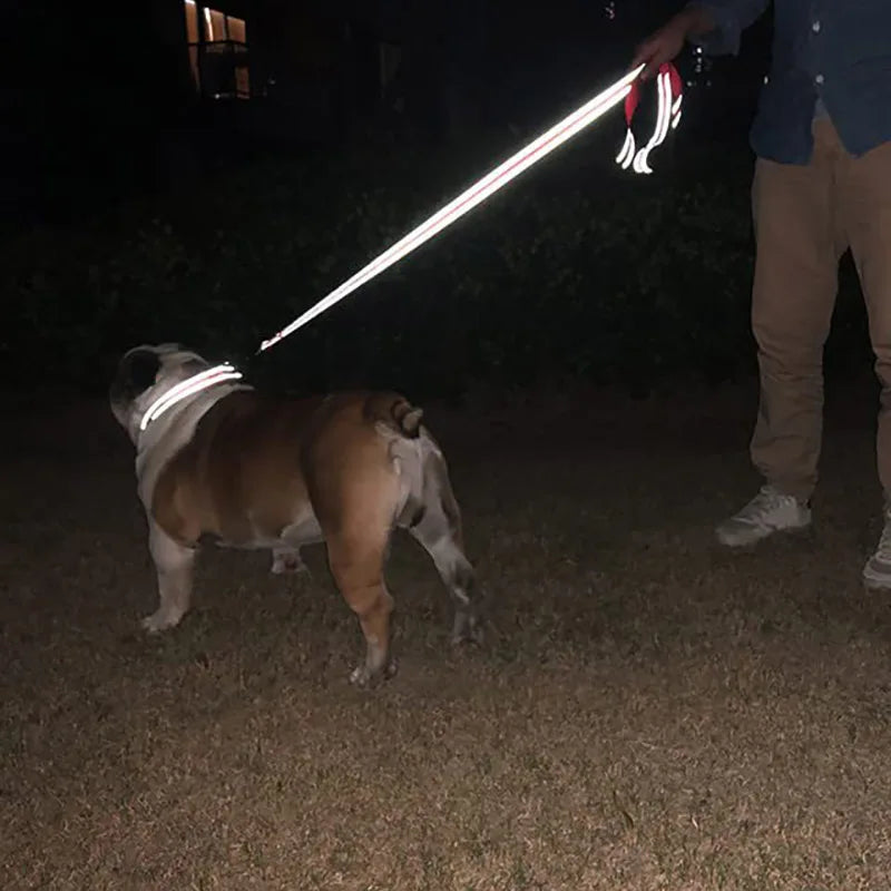 Reflective Pet Leash - My Store