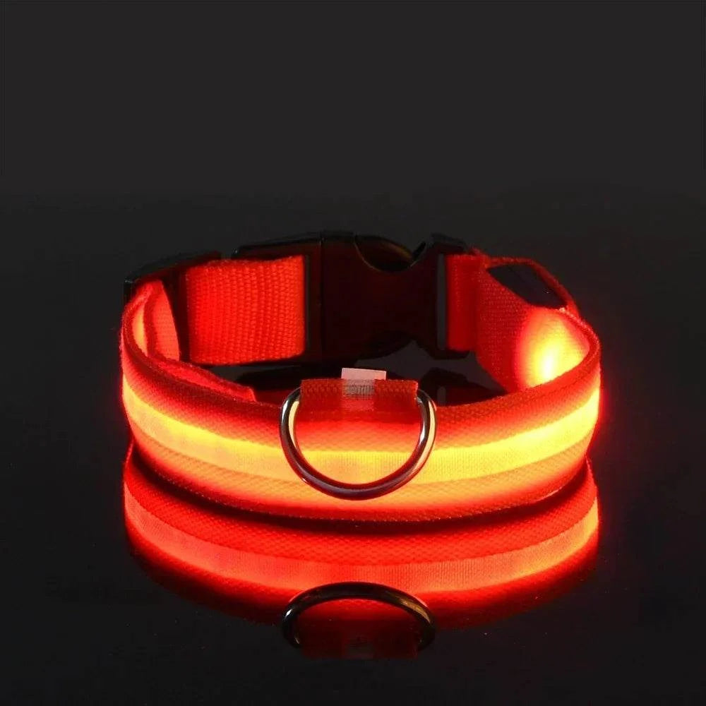 LED Dog Collar for Enhanced Visibility on Night Walks