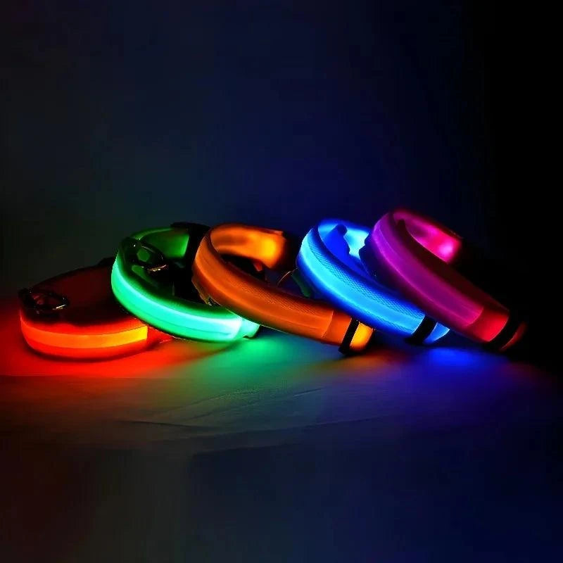 LED Dog Collar for Enhanced Visibility on Night Walks