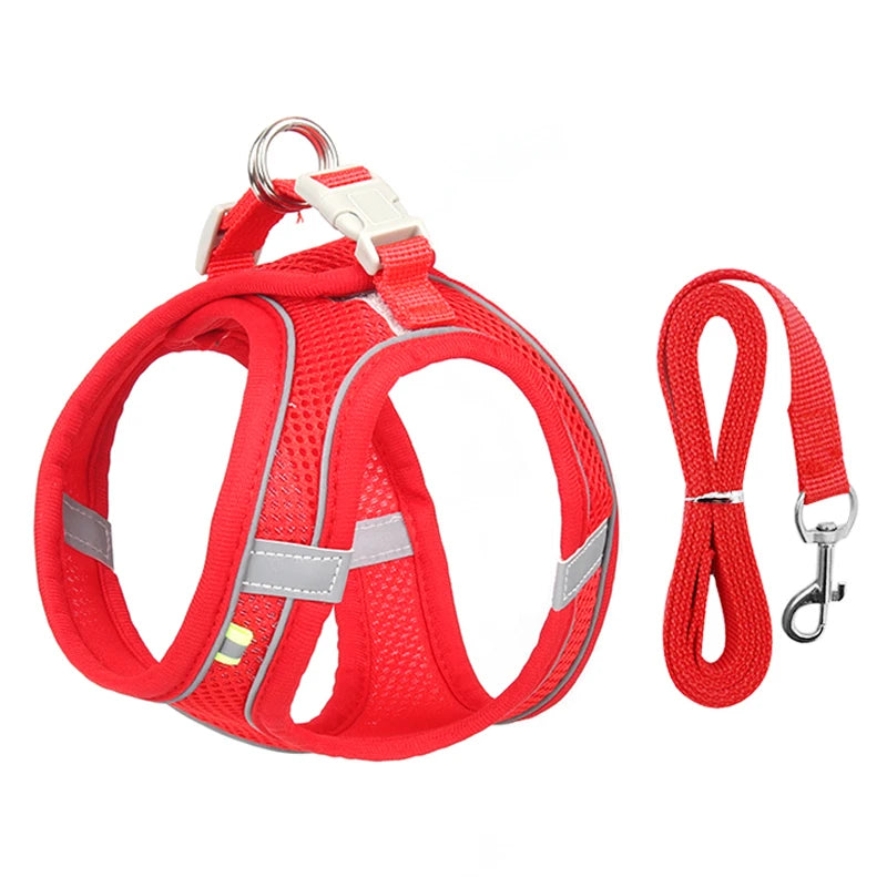 Adjustable Dog Harness & Leash Set