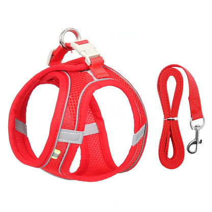 Adjustable Dog Harness & Leash Set