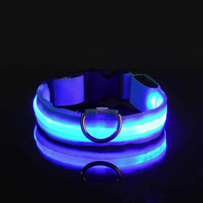 LED Dog Collar for Enhanced Visibility on Night Walks