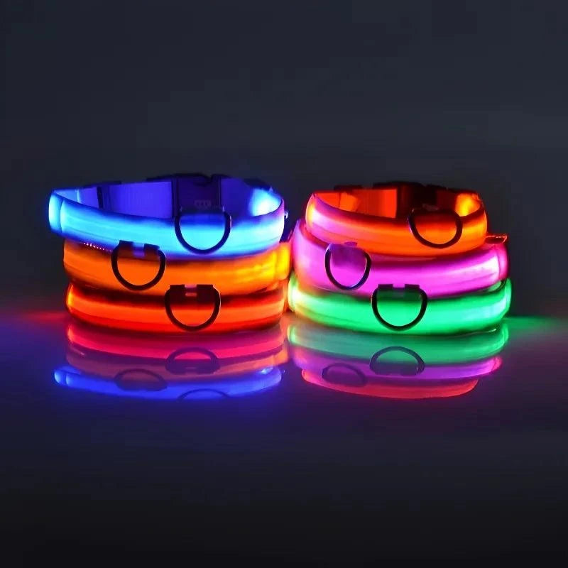 LED Dog Collar for Enhanced Visibility on Night Walks