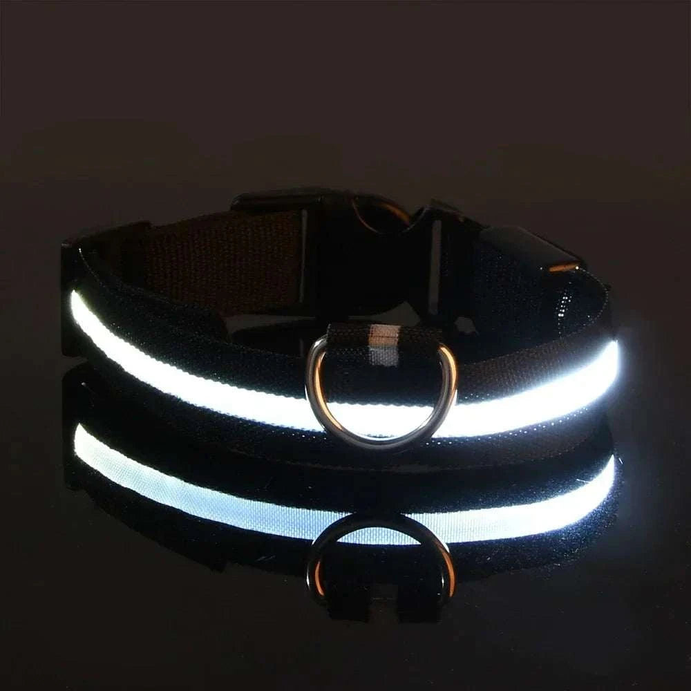 LED Dog Collar for Enhanced Visibility on Night Walks