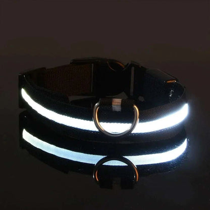 LED Dog Collar for Enhanced Visibility on Night Walks