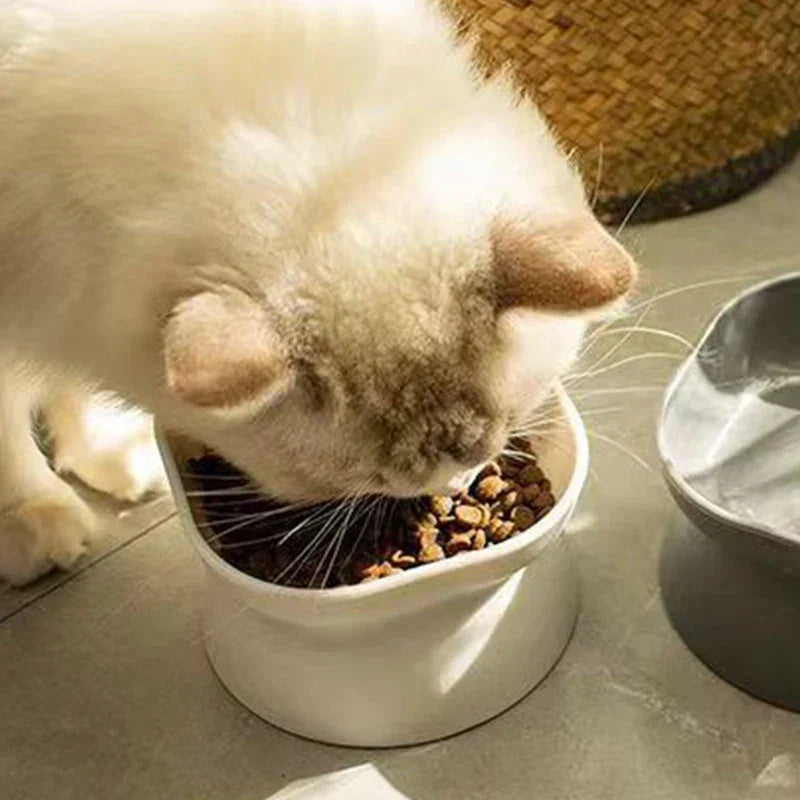 Elevated Cat and Dog Food Bowl for Comfortable Feeding and Easy Eating