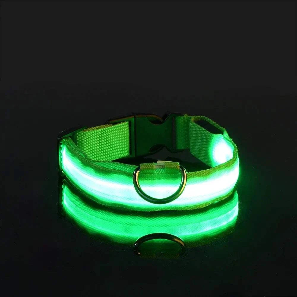 LED Dog Collar for Enhanced Visibility on Night Walks