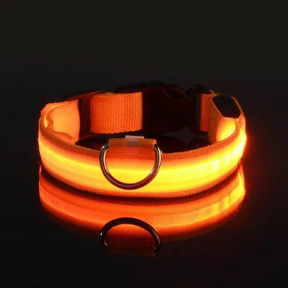LED Dog Collar for Enhanced Visibility on Night Walks