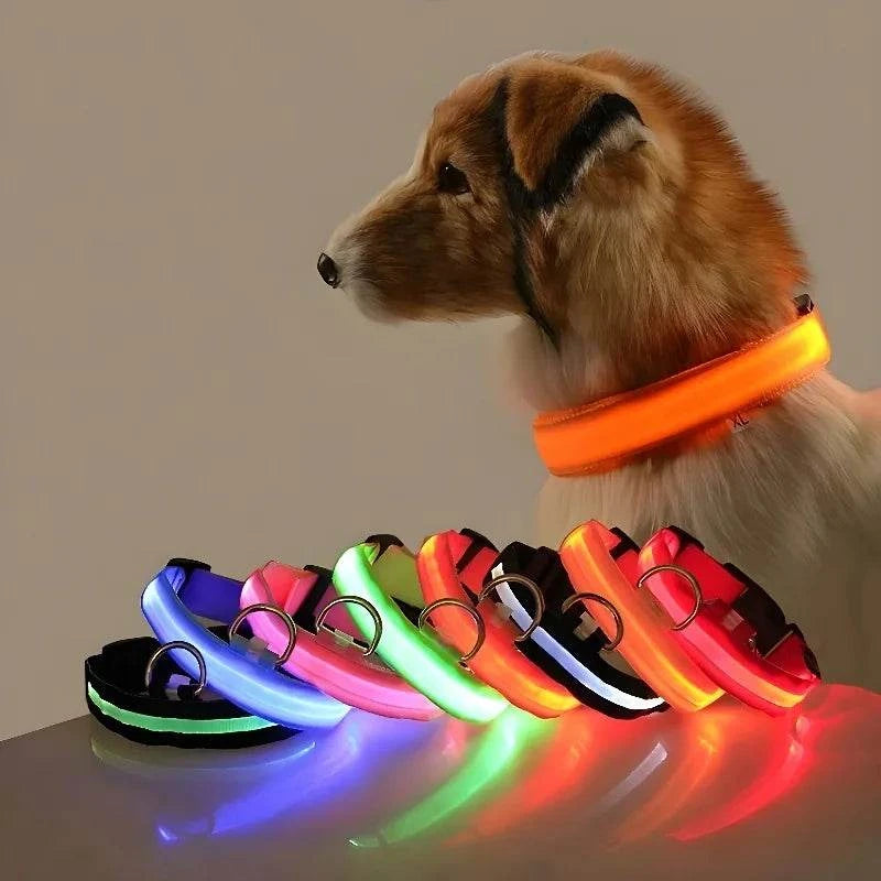 LED Dog Collar for Enhanced Visibility on Night Walks