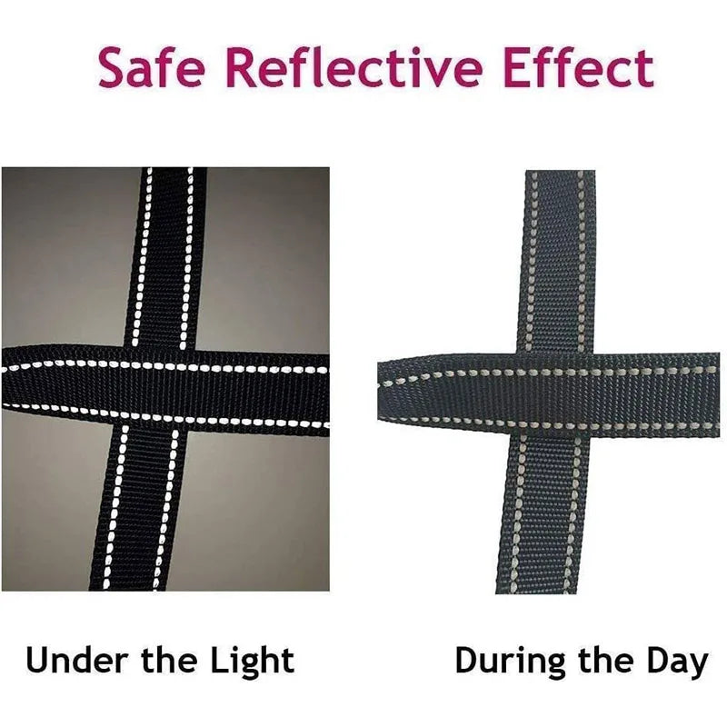 Reflective Pet Leash - My Store