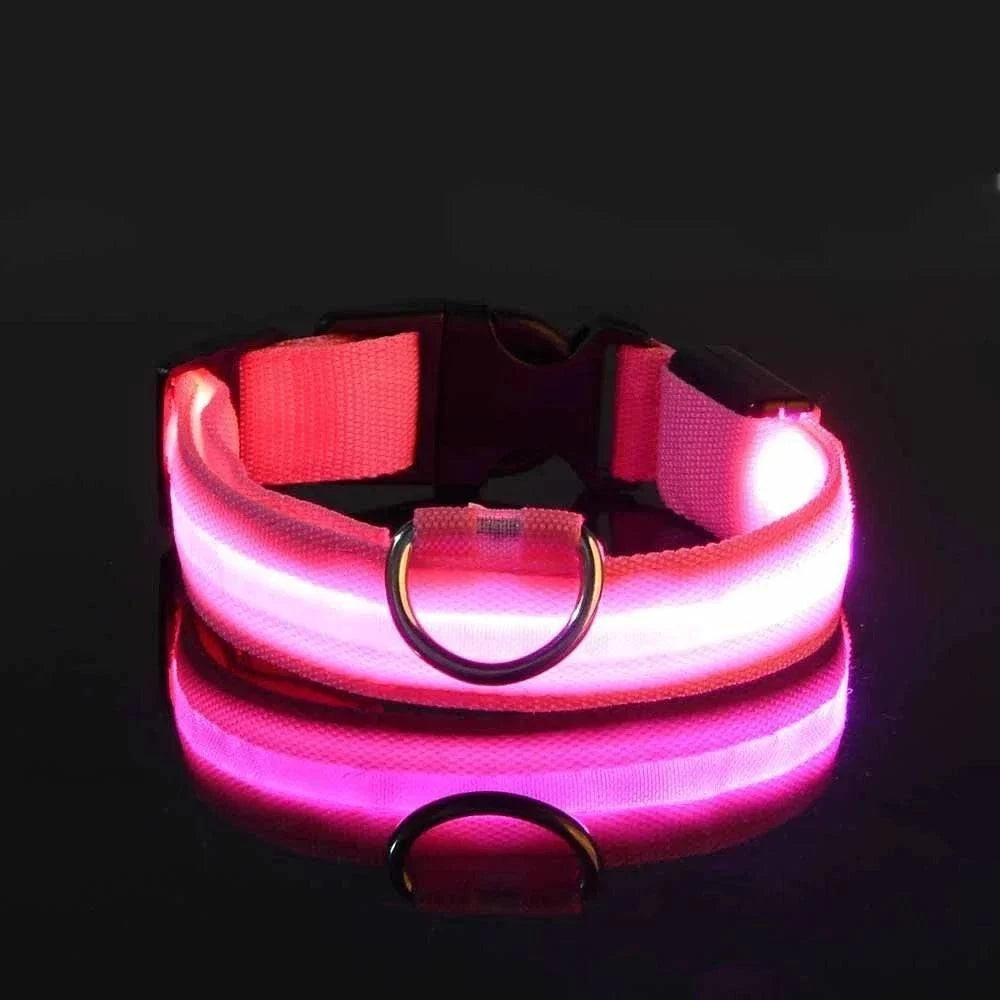 LED Dog Collar for Enhanced Visibility on Night Walks