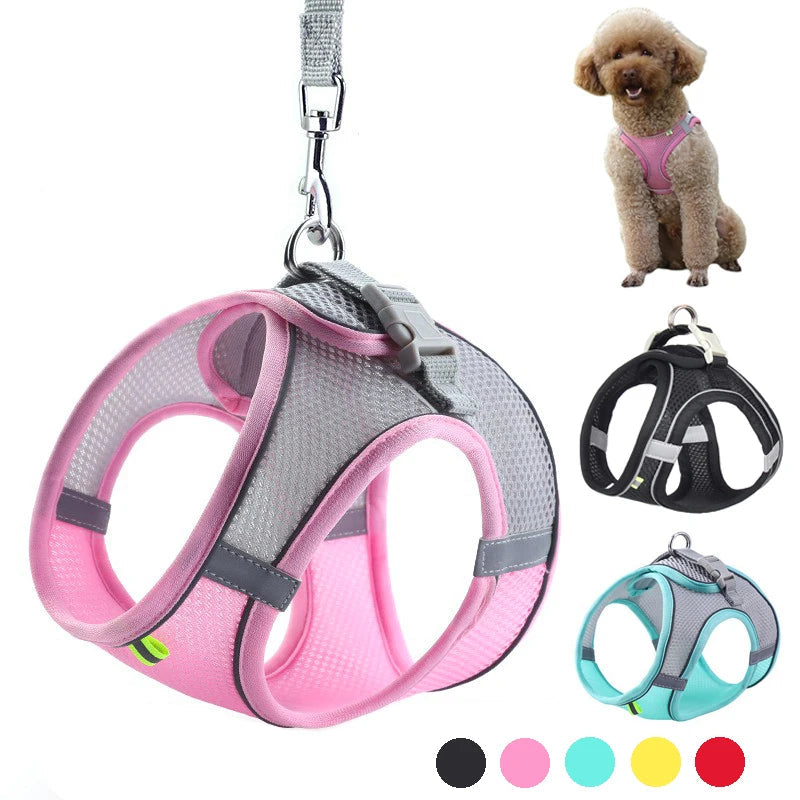 Adjustable Dog Harness & Leash Set