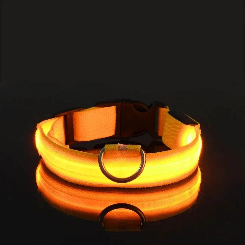 LED Dog Collar for Enhanced Visibility on Night Walks