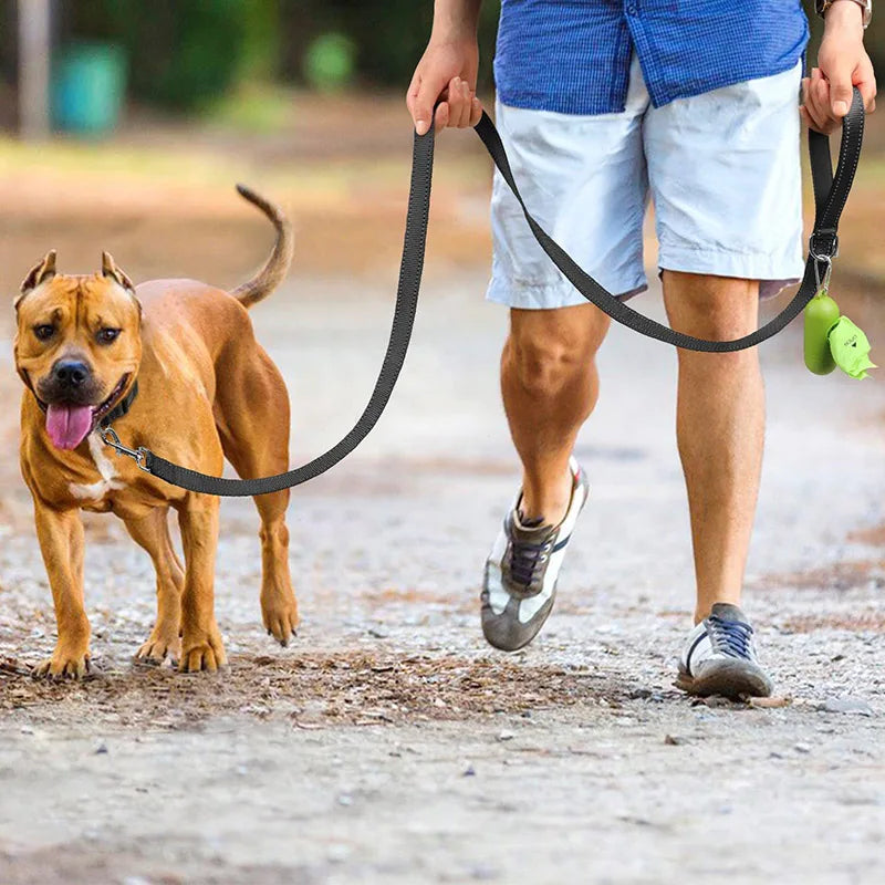 Reflective Pet Leash - My Store